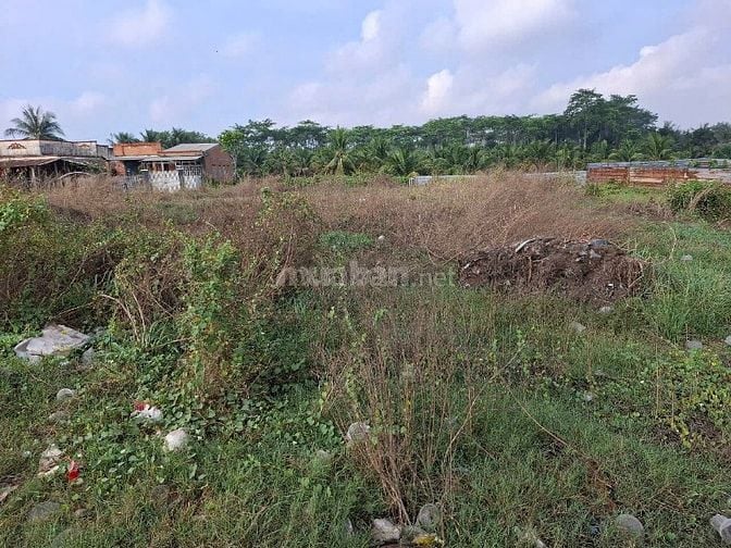 Hơn 20m mặt tiền quốc lộ 782. 1117m2 có thổ cư. 340tr 1m