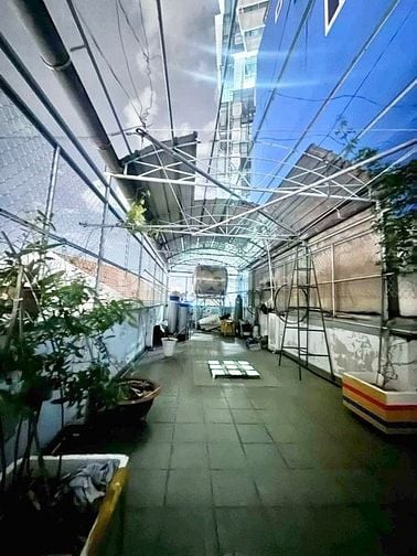 BÁN NHANH, MẶT TIỀN QUẬN 5 DT 60M2, ĐƯỜNG 20M, CÓ LỀ 6 TẦNG KINH DOANH