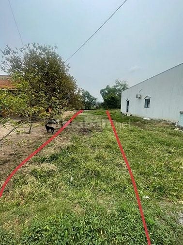 Bán đất xã an ninh tây huyện đức hoà