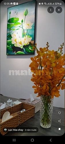  🌱 SANG NHƯỢNG QUÁN CHAY LỤC HÒA – CƠ HỘI CHO NGƯỜI MUỐN KHỞI NGHIỆP 