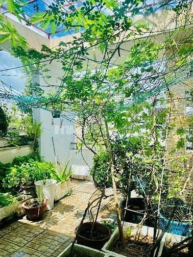  Bán Nhà Hẻm 5m Trương Công Định (4 x19) 4 tầng ,11.8Tỷ ,P.14 Tân Bình