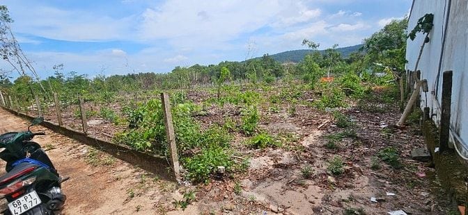 Bán đất Ấp 2, Cầu Cửa Cạn, Xã Cửa Cạn, Thành phố Phú Quốc, Kiên Giang