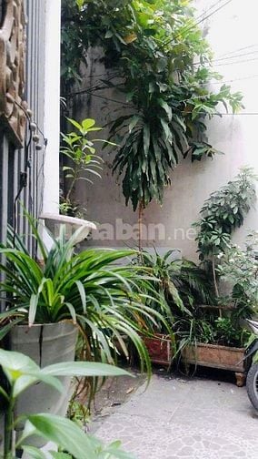 Bán nhà rẻ 3 lầu (4x12) 334/24/11 Nguyễn Văn Nghi p1 Gò Vấp 