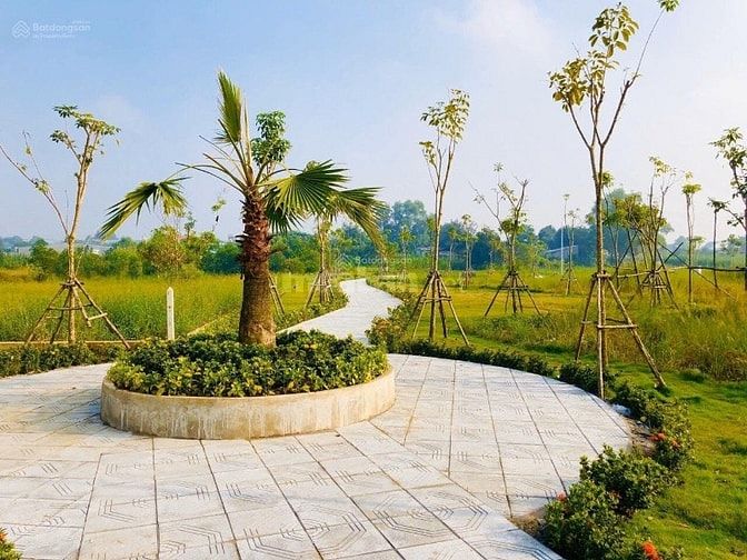 THANH LÝ 10 Nền KDC Bình Mỹ Củ Chi Gần KCN Đông Nam Giá chỉ 1.4-1.8Tỷ