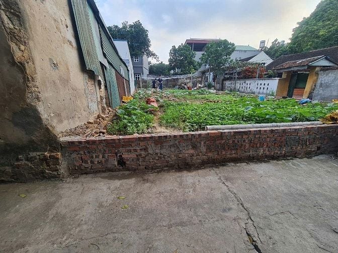 CHỦ CẦN TIỀN BÁN GẤP 250M ĐẤT ĐẸP THÔN ĐÔNG  VIỆT HÙNG  ĐÔNG ANH