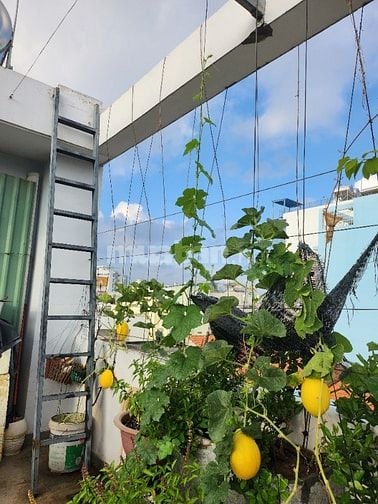 Chính chủ cần bán nhà 549 XVNT P26 Bình Thạnh. DTCN 60M. 