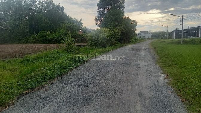 🌟 BÁN ĐẤT ĐẸP MẶT TIỀN ĐƯỜNG 31 – TRUNG TÂM PHÁT TRIỂN MỚI CỦA GÒ DẦU