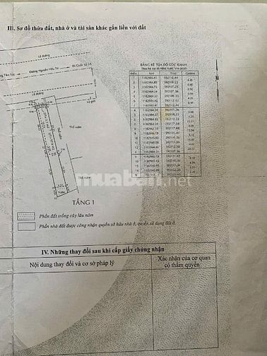 🌷 🌷 🌷 BÁN NHÀ MẶT TIỀN : 51 NGUYỄN HỮU TRÍ - TT. TÂN TÚC - Q. BC