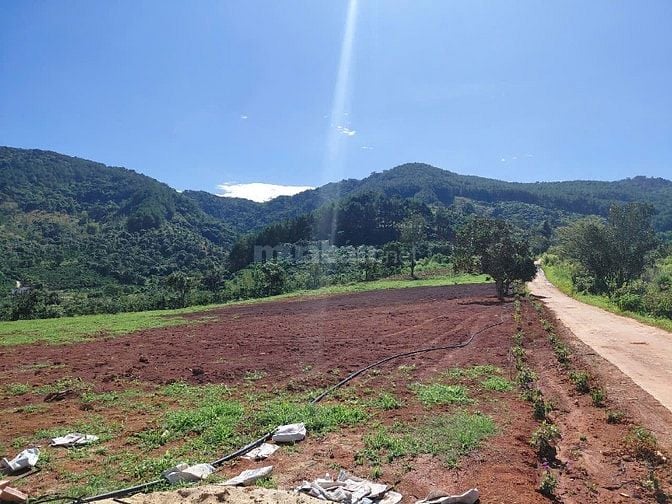 Đất nghỉ dưỡng ven Đà Lạt view tượng phật Bà