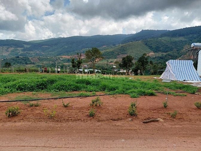 Đất nghỉ dưỡng ven Đà Lạt view tượng phật Bà
