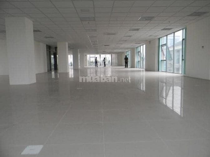 Phú Minh Group Cho thuê văn phòng 310m lô góc Trần Thái Tông Cầu Giấy