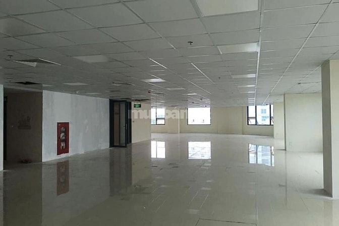 Phú Minh Group Cho thuê văn phòng 310m lô góc Trần Thái Tông Cầu Giấy