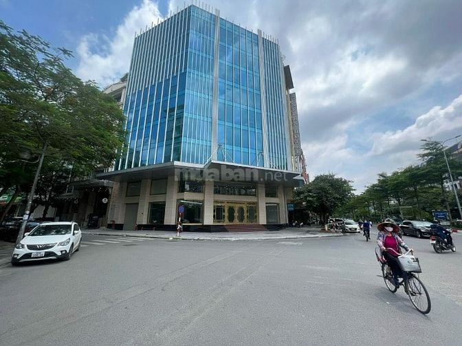 Phú Minh Group Cho thuê văn phòng 310m lô góc Trần Thái Tông Cầu Giấy