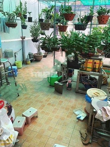 Bán Nhà tạp hóa 750trieu ngay Chợ Bình Chánh, đang cho thuê 8tr/thang