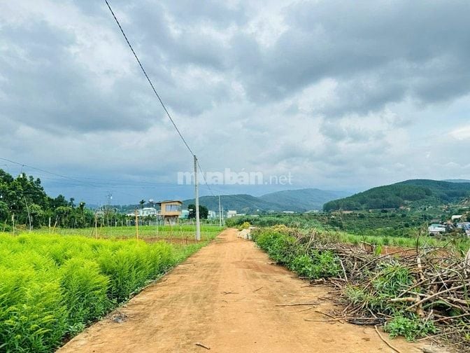 Đất vùng ven Đà Lạt giá Tà Nung sẵn thổ cư cách ĐT 725 600m