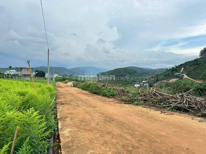 Đất vùng ven Đà Lạt giá Tà Nung sẵn thổ cư cách ĐT 725 600m