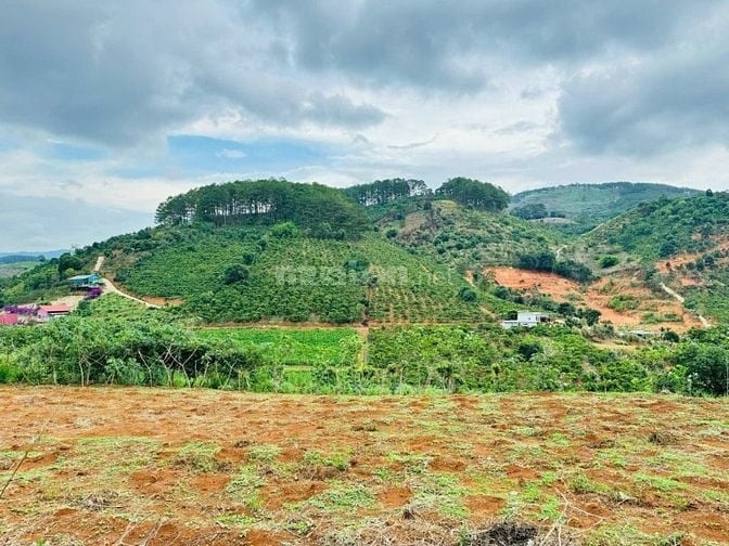Đất vùng ven Đà Lạt giá Tà Nung sẵn thổ cư cách ĐT 725 600m