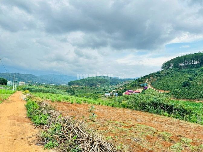 Đất vùng ven Đà Lạt giá Tà Nung sẵn thổ cư cách ĐT 725 600m