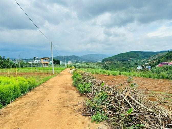 Đất vùng ven Đà Lạt giá Tà Nung sẵn thổ cư cách ĐT 725 600m