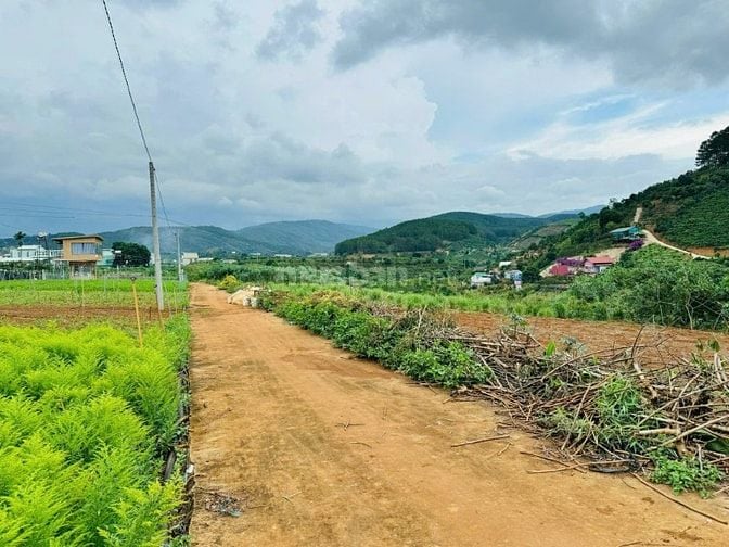 Đất vùng ven Đà Lạt giá Tà Nung sẵn thổ cư cách ĐT 725 600m