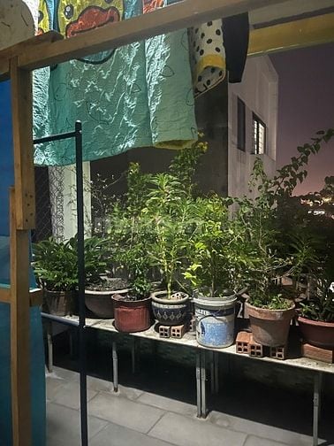 Chính Chủ Bán Nhà Đẹp – Vị Trí Đắc Địa, Giá Tốt, Sổ Hồng Riêng ở GV