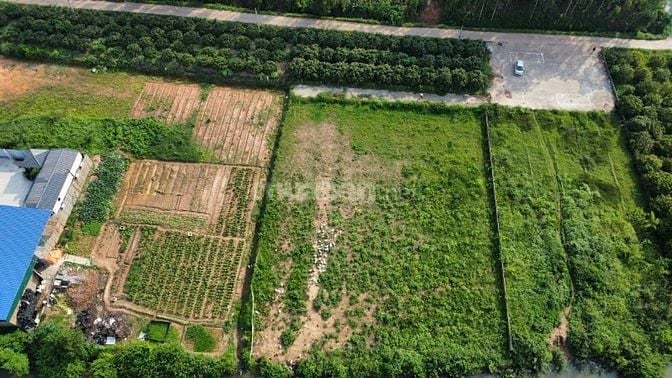 Chính chủ bán 4 lô đất giá chỉ vài triệu