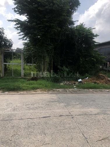 VỊ TRÍ ĐẸP GIÁ TỐT 500TR BÁN GẤP LÔ ĐÂT 158M2 MT ĐƯỜNG NHỰA SHR 