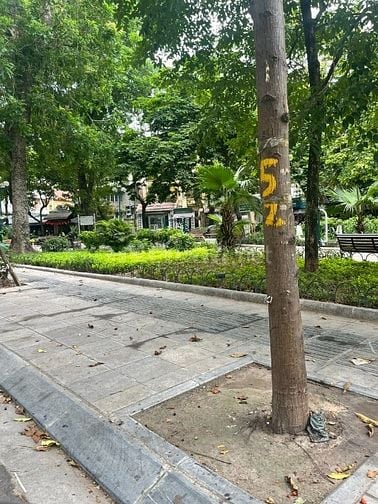 Duy nhất 1 căn!!! phố Lê Quý Đôn, Dt 38m2, 4t, mt 7m, ô tô đỗ cửa.