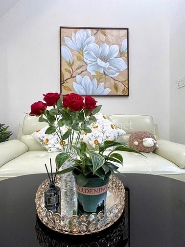 Sổ hồng chính chủ nhà mới hoàn công đầy đủ