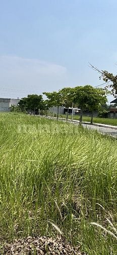 Bán rẻ lô đất khu hiển vinh dại phúc