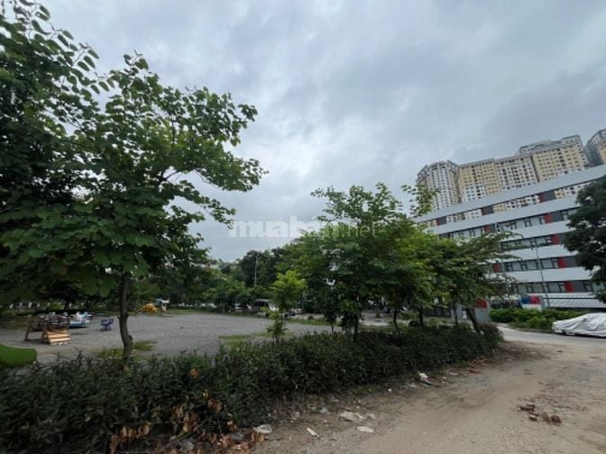 Bán Đất vàng Kim Giang, mặt ngõ thông sang Trường Ngôi Sao Hoàng Mai