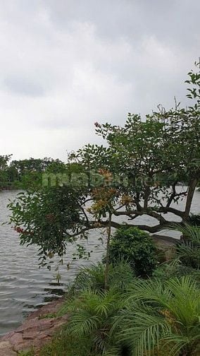 💎 SIÊU PHẨM ĐẤT ĐẸP TRUNG TÂM TỪ SƠN – VIEW HỒ – SỔ ĐỎ TỪNG LÔ – GIÁ 
