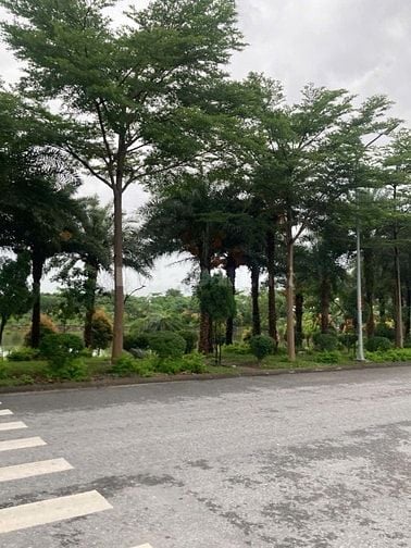 💎 SIÊU PHẨM ĐẤT ĐẸP TRUNG TÂM TỪ SƠN – VIEW HỒ – SỔ ĐỎ TỪNG LÔ – GIÁ 