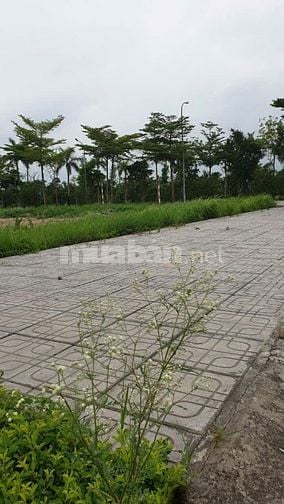 💎 SIÊU PHẨM ĐẤT ĐẸP TRUNG TÂM TỪ SƠN – VIEW HỒ – SỔ ĐỎ TỪNG LÔ – GIÁ 