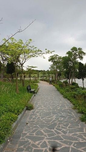 💎 SIÊU PHẨM ĐẤT ĐẸP TRUNG TÂM TỪ SƠN – VIEW HỒ – SỔ ĐỎ TỪNG LÔ – GIÁ 