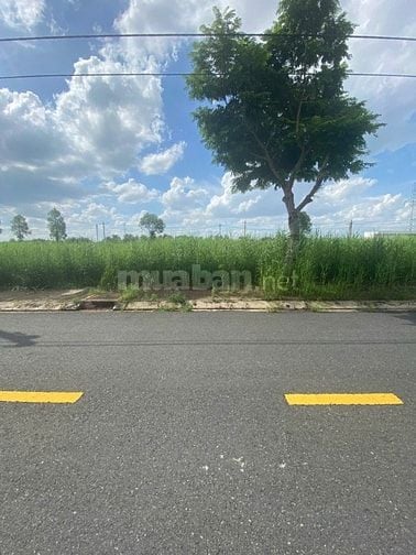 Chính chủ bán gấp nền Long Hậu Sài Gòn Village chỉ 2 ty460 SHR 90m2