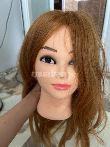 Đầu tóc vàng Manocanh cho người học tóc