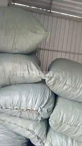 Bán lá ổi khô và lá ổi tươi, hàng sạch, không thuốc trừ sâu 