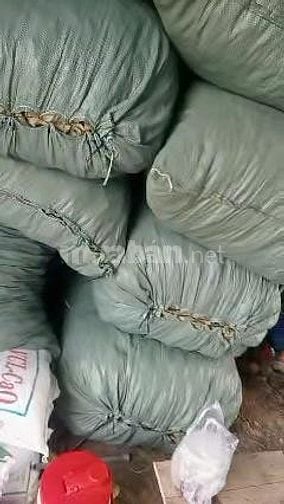 Bán lá ổi khô và lá ổi tươi, hàng sạch, không thuốc trừ sâu 