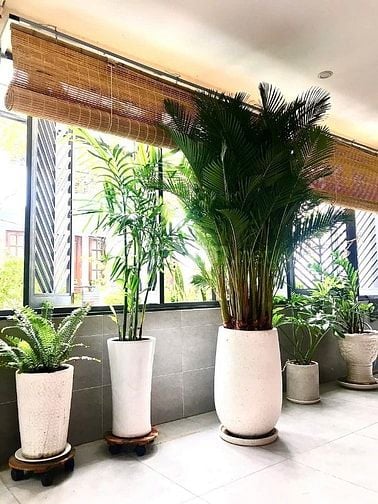 Bán nhà hẻm xe hơi Đường Lê Văn Sỹ, DT 7,5x20m, 1 trệt, 2 lầu