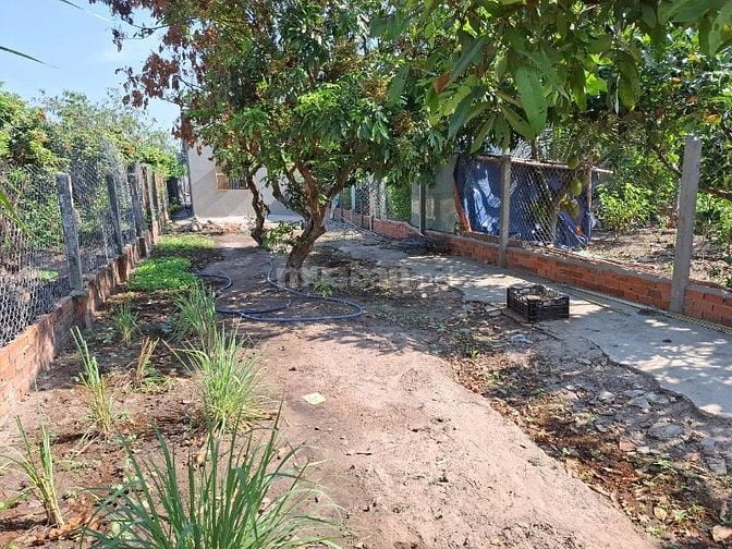 6x64 có 160m2 thổ cư. Gần KCN Phước Đông. Có nhà nhỏ. 1,15 tỷ 
