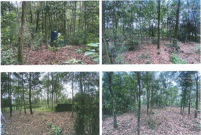 Bán đấu giá đất tại xã Phú Sơn, huyện Ba Vì, thành phố Hà Nội