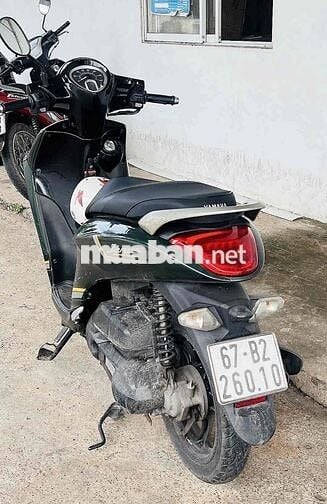 Janus xanh giá 16tr