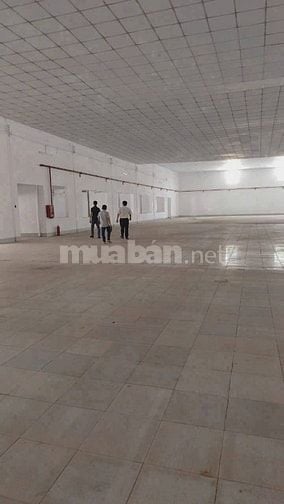 Cho thuê kho xưởng mặt tiền Quốc Lộ 1A ,vị trí đắc địa, diện tích lớn