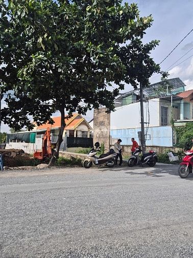 BÁN ĐẤT NỞ HẬU - MẶT TIỀN ĐƯỜNG BÀ KIỂU, X. PHƯỚC LẠI, LONG AN