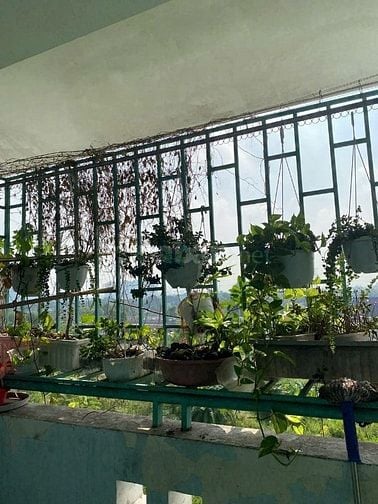 Cho thuê chung cư Thạnh Mỹ Lợi , Lô A , thang bộ lầu 4 