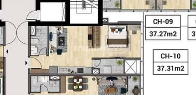 STUDIO THE 90 COMPLEX - ĐƯỜNG LÁNG - 3.8 TỶ