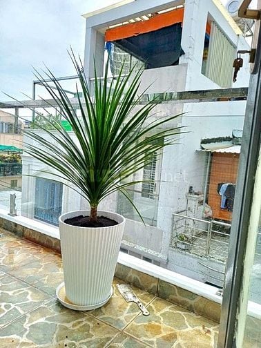 Nhà bán Lê đại hành, P11, Quận 11