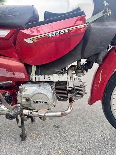 hondaciti phuộc 11 đầu