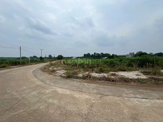 Công ty Đấu giá hợp danh Lam Sơn Sài Gòn THÔNG BÁO ĐẤU GIÁ TÀI SẢN